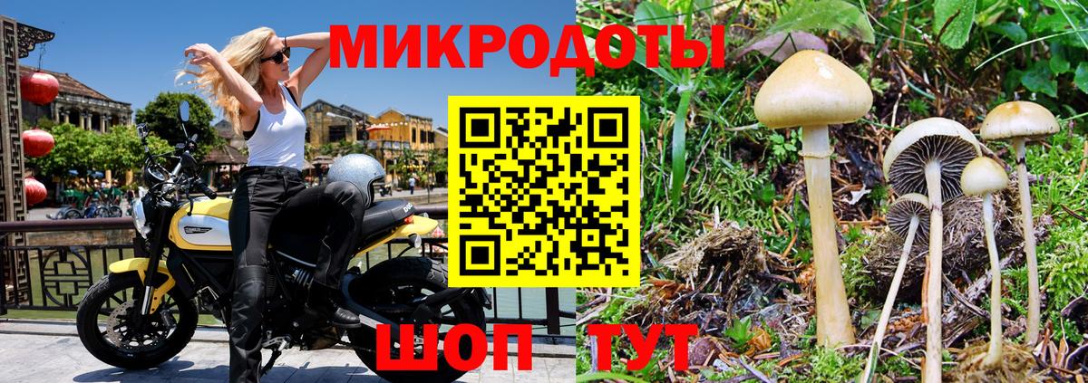 Псилоцибиновые грибы GOLDEN TEACHER Орехово-Зуево