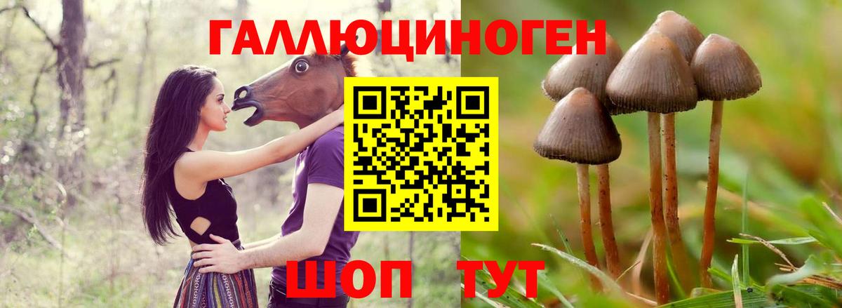 Псилоцибиновые грибы Psilocybe  Вход с VPN  Орехово-Зуево 